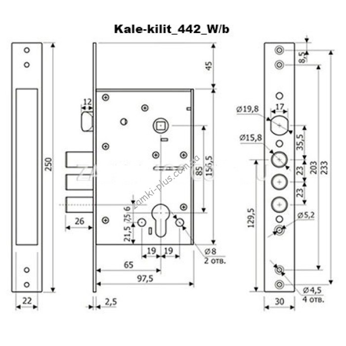 kale-442-w-b-700x700